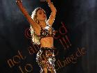 Galerie BD2012-0930.jpg anzeigen.
