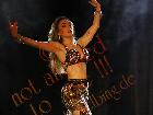 Galerie BD2012-0931.jpg anzeigen.