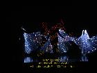 Galerie BD2012-1035.jpg anzeigen.