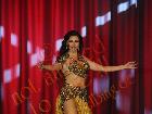 Galerie BD2012-1103.jpg anzeigen.