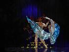 Galerie BD2012-1301.jpg anzeigen.