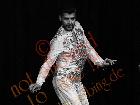 Galerie BD2012-1409.jpg anzeigen.