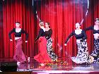 Galerie BD2012-1748.jpg anzeigen.
