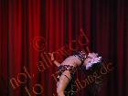 Galerie BD2012-1915.jpg anzeigen.