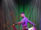 Galerie BD2012-2048.jpg anzeigen.