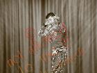 Galerie BD2012-2096.jpg anzeigen.
