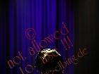 Galerie BD2012-2175.jpg anzeigen.