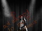 Galerie BD2012-2188.jpg anzeigen.