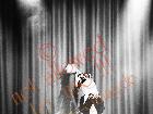 Galerie BD2012-2196.jpg anzeigen.