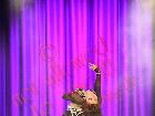 Galerie BD2012-2209.jpg anzeigen.