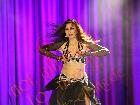 Galerie BD2012-2213.jpg anzeigen.