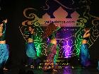 Galerie BD2013-0710.jpg anzeigen.