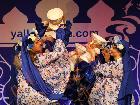 Galerie BD2013-1075.jpg anzeigen.