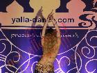 Galerie BD2013-1228.jpg anzeigen.