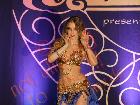 Galerie BD2013-1253.jpg anzeigen.