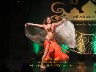 Galerie BD2013-1492.jpg anzeigen.