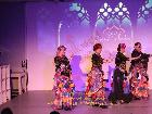 Galerie BD2015-1759.jpg anzeigen.