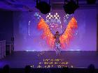 Galerie BD2015-2369.jpg anzeigen.