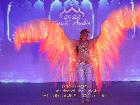 Galerie BD2015-2387.jpg anzeigen.
