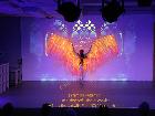 Galerie BD2015-2395.jpg anzeigen.