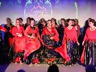 Galerie BD2015-2498.jpg anzeigen.
