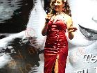 Galerie BD2207-0095.jpg anzeigen.