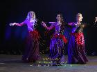 Galerie BD2209-0350.jpg anzeigen.
