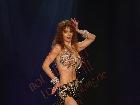 Galerie BD2219-0219.jpg anzeigen.