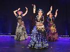Galerie BD2265-0292.jpg anzeigen.