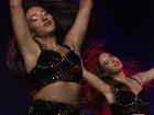 Galerie BD2279-0419.jpg anzeigen.