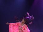 Galerie BD2280-1035.jpg anzeigen.