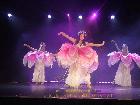 Galerie BD2280-2474.jpg anzeigen.