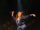 Galerie BD2281-0427.jpg anzeigen.
