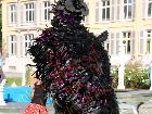 Galerie VD614-4809.jpg anzeigen.